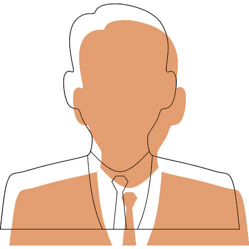 Profesionalismo Arquitectura profesional personalizada